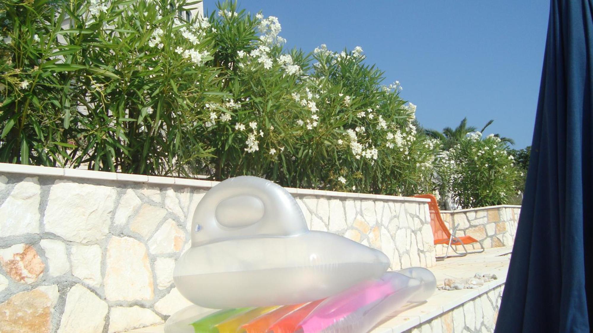 Apartments Niana With Heated Seawater Swimingpool Donji Okrug  Esterno foto